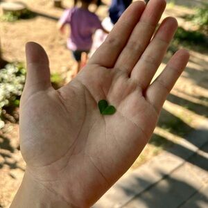 Meet your Posher, Kylie